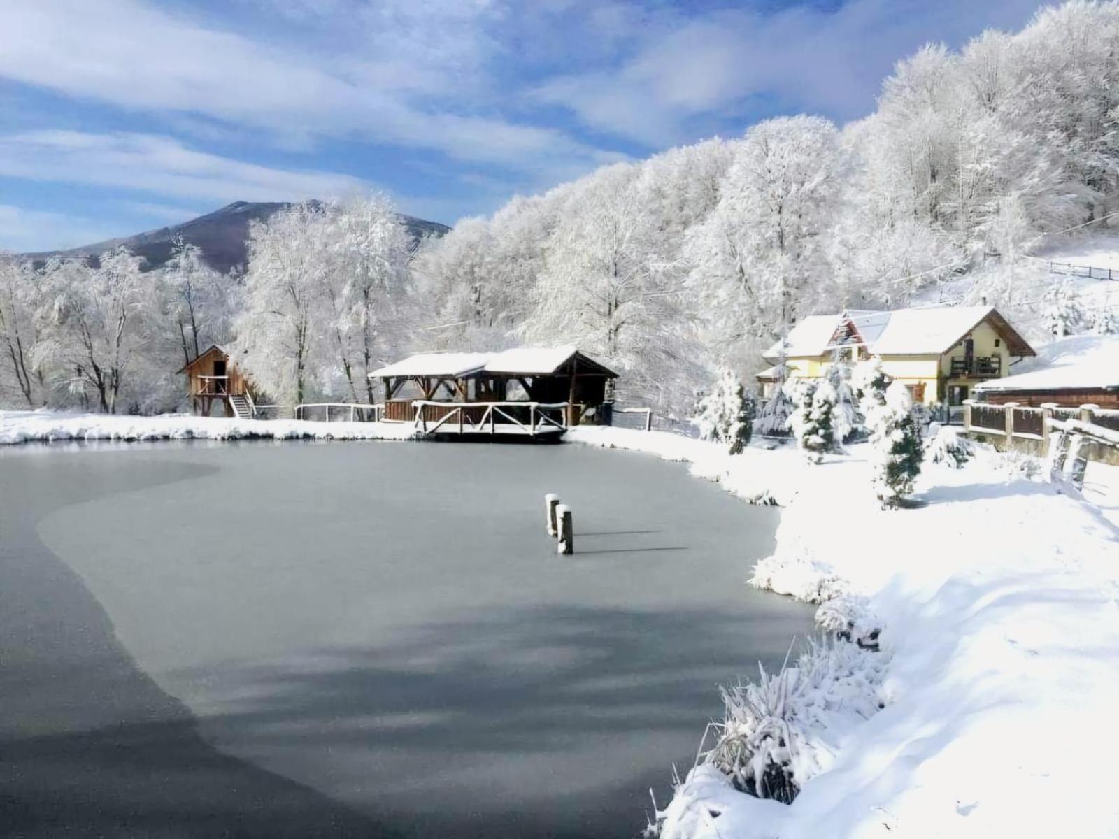 Pensiunea Cerbul - Valea Dobarlaului Exterior photo