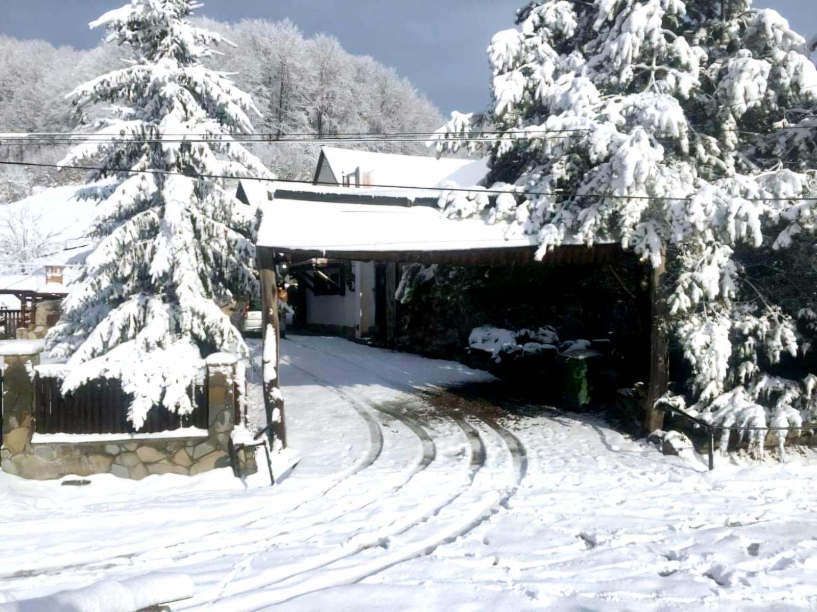 Pensiunea Cerbul - Valea Dobarlaului Exterior photo